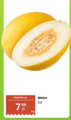 Dino Melon luz oferta