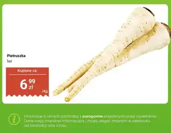 Dino Pietruszka luz oferta