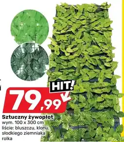 Bricomarche Sztuczny żywopłot bluszczu, klonu, słodkiego ziemniaka, roksa oferta