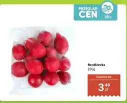 Dino Rzodkiewka oferta