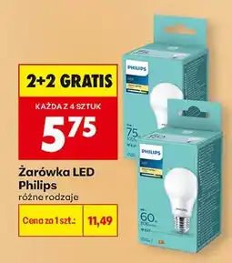 Biedronka Żarówka LED, różne rodzaje 2+2 GRATIS oferta