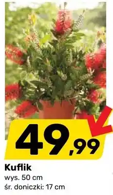 Bricomarche Kuflik oferta