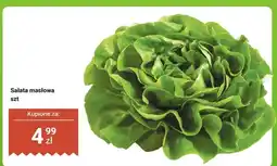 Dino Sałata masłowa 1 szt oferta