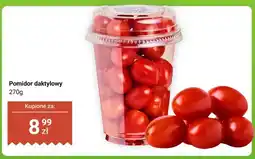 Dino Pomidor daktylowy oferta