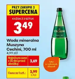 Biedronka Woda mineralna muszyna oferta