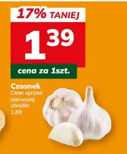 Hitpol Czosnek oferta