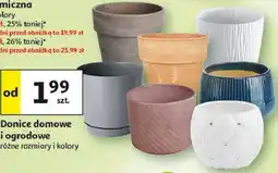 Auchan Donice domowe i ogrodowe różne rozmiary i kolory oferta