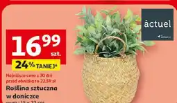 Auchan Roślina sztuczna w doniczce actuel oferta