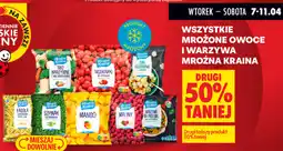 Biedronka WSZYSTKIE MROŻONE OWOCE I WARZYWA MROŹNA KRAINA oferta