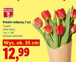 Lidl Polskie tulipany, 7 szt. POLSKIE KWIATY oferta