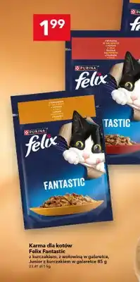 Lewiatan Karma dla kotów Fantastic z kurczakiem w galaretce oferta