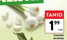 Intermarche Czosnek wczesny oferta