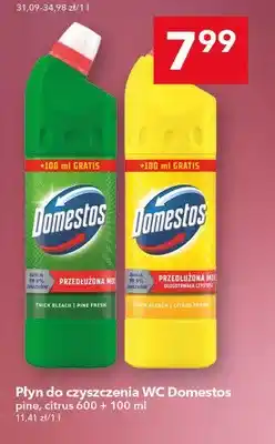 Lewiatan Płyn do czyszczenia WC pine 600ml + 100ml oferta