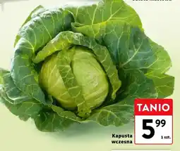 Intermarche Kapusta wczesna oferta