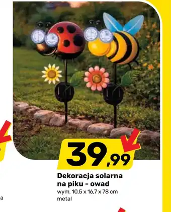 Bricomarche Dekoracja oferta