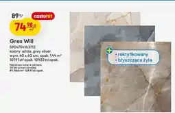 Castorama Gres Will silver oferta