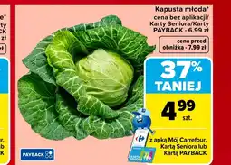 Carrefour Kapusta młoda Carrefour oferta