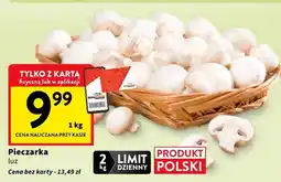 Intermarche Pieczarka luz oferta