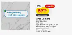 Castorama Gres Lomero biały mat oferta