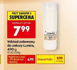 Biedronka Wkład do zniczy Lumia oferta