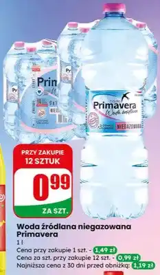 Dino Woda źródlana niegazowana oferta