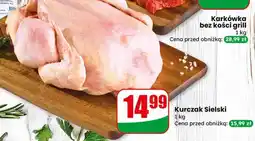 Dino Kurczak sielski oferta