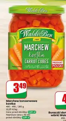 Dino Marchew konserwowa kostka oferta