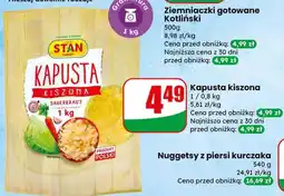 Dino Kapusta kiszona oferta
