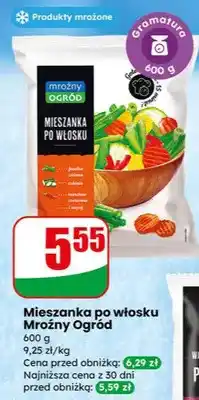 Dino Mieszanka po włosku Mrożny Ogród oferta
