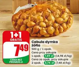 Dino Cebula dymka żółta oferta