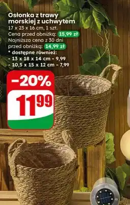 Dino Osłonka z trawy morskiej z uchwytem oferta