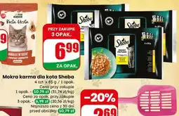 Dino Łopatka do żwirku oferta