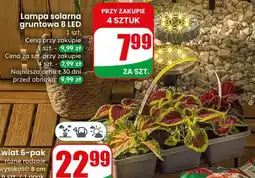 Dino Lampa solarna gruntowa 8 LED oferta