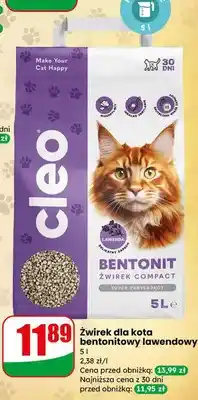 Dino Żwirek dla kota bentonitowy lawendowy oferta