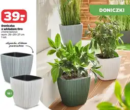 Netto Doniczka z wkładem Oro oferta