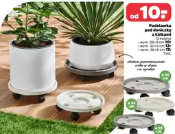 Netto Podstawka pod doniczkę z kółkami oferta