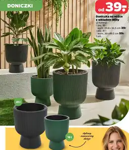 Netto Doniczka na nóżce z wkładem Milly oferta