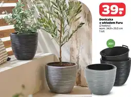 Netto Doniczka z wkładem Furu oferta