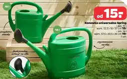 Netto Prosperplast Konewka uniwersalna Spring oferta