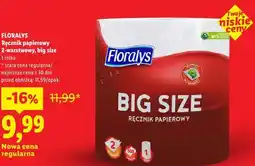 Lidl Ręcznik papierowy 2-warstwowy, big size 1 rolka oferta