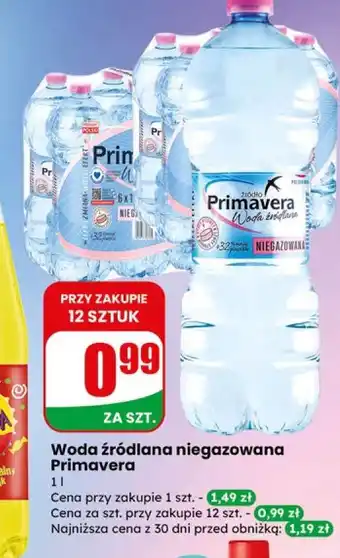 Dino Woda źródlana niegazowana Primavera oferta