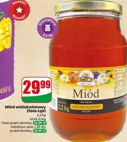 Dino Miód wielokwiatowy Złote Łąki oferta