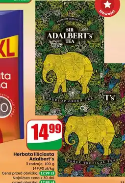 Dino Herbata liściasta Adalbert's oferta