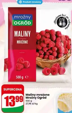 Dino Maliny mrożone Mroźny Ogród oferta