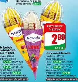 Dino Lody rożek Nordis oferta