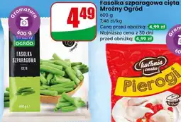 Dino Fasolka szparagowa cięta Mroźny Ogród oferta