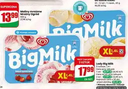 Dino Lody Big Milk oferta