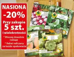 Dino Nasiona Mieszaj dowolnie rodzaje Rabat naliczany na każde opakowanie oferta