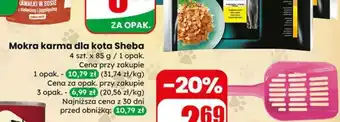 Dino Mokra karma dla kota Sheba oferta