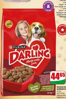 Dino Sucha karma dla psa wołowina Darling oferta